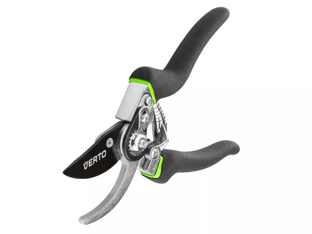 Jak chránit růže na zimu?