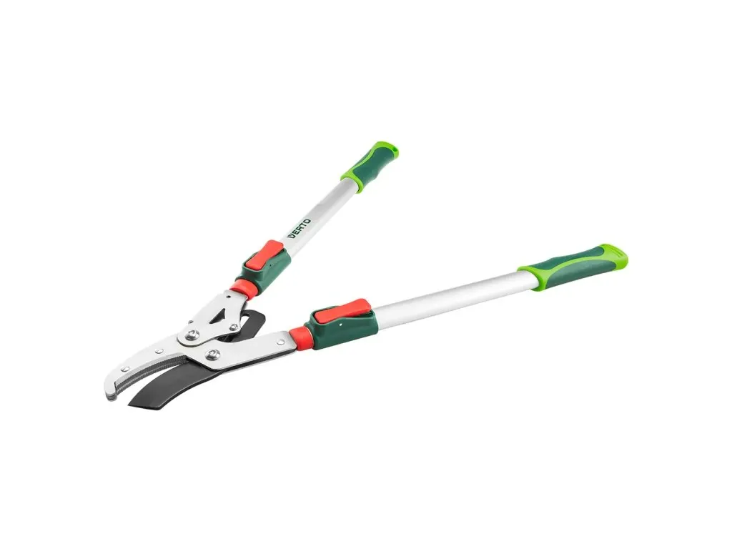 Jak a kdy správně prořezávat maliny: Průvodce pro zdravou úrodu