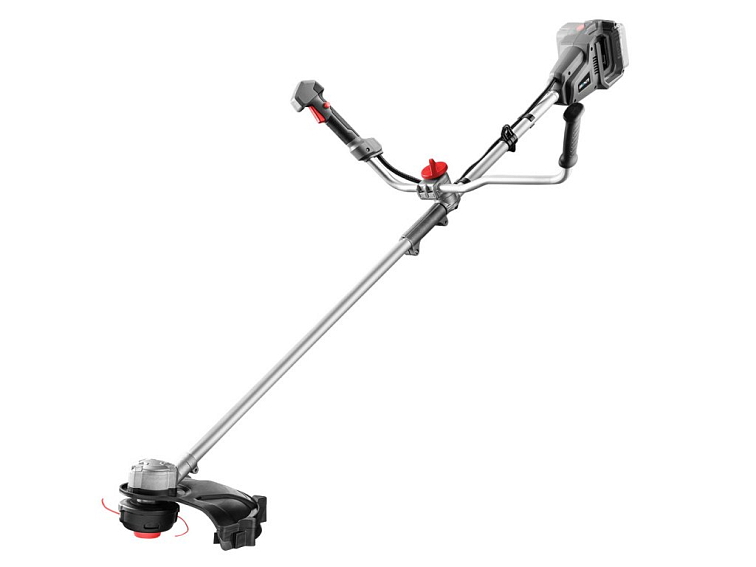 Květinová louka v zahradě - setí semen, péče, druhy květin