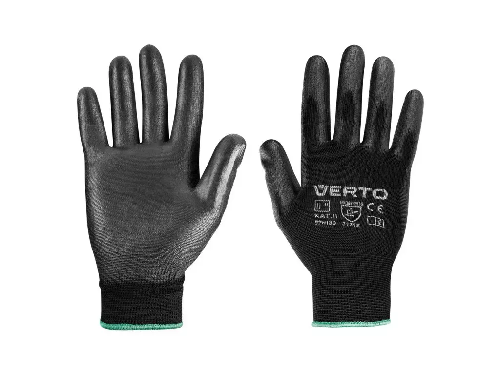 Jak a kdy zasadit cibuli na zahradě?