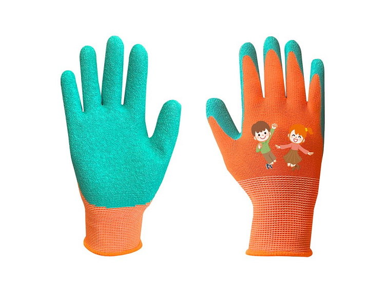 Jak a kdy prořezávat rybíz?