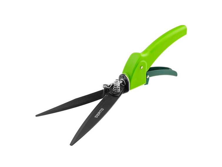 Výsadba broskvoní - termín, požadavky, péče