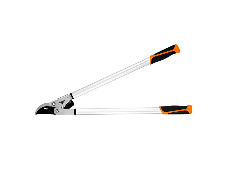 Jak a kdy sázet jabloně?