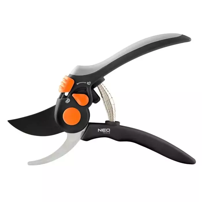 Výsadba rybízu - načasování a péče o keře