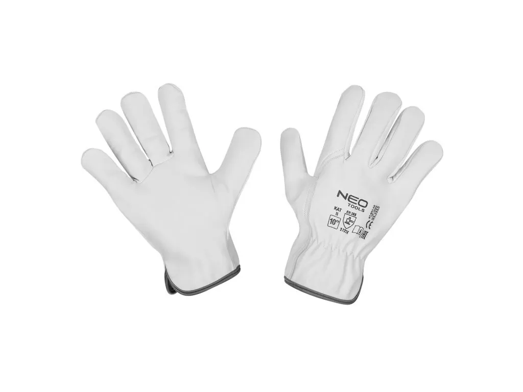 Kde, jak a kdy sázíme gladioly?