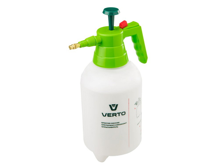 Levandule na zahradě - výsadba, pěstování, péče