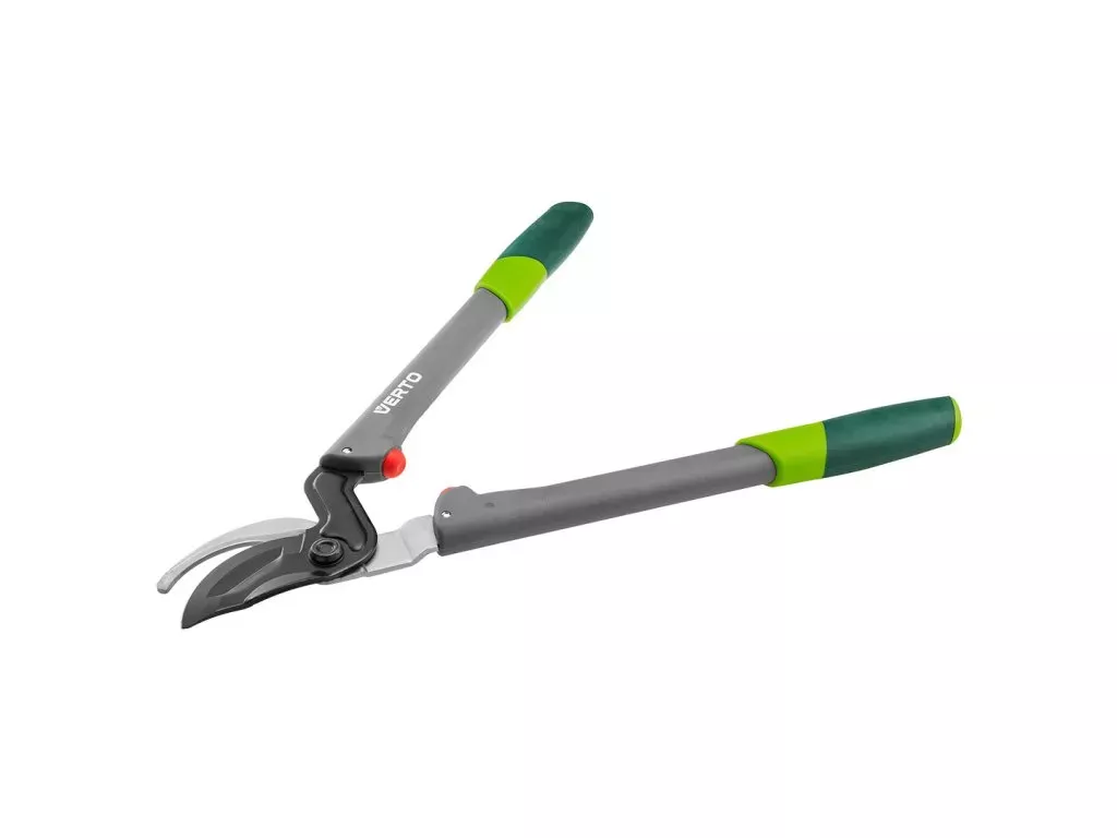 Jak chránit hortenzie na zimu? Průvodce pro začátečníky