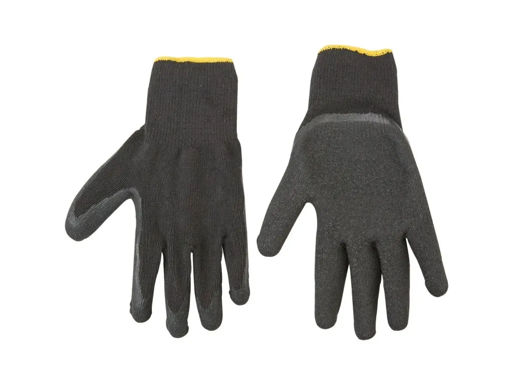 Kdy maliny zasadit a jak na to? Cenné tipy