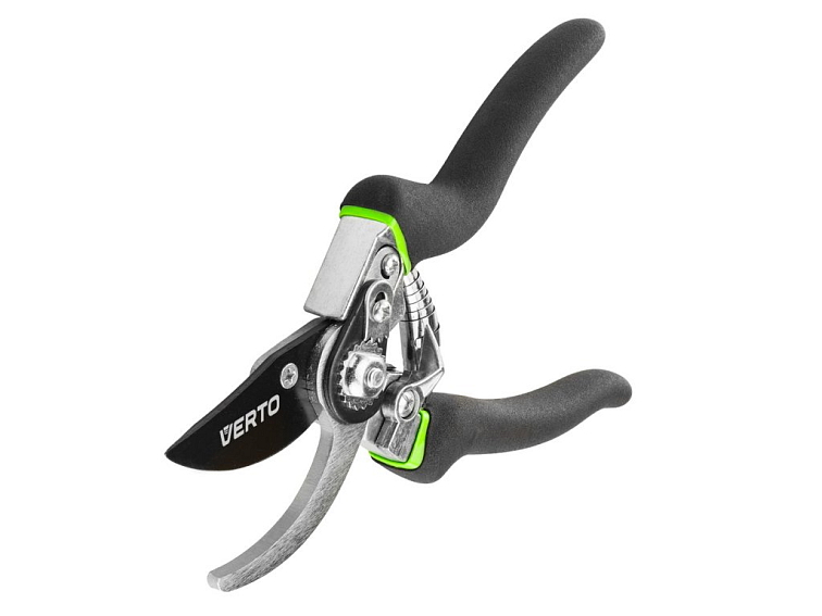 Výsadba broskvoní - termín, požadavky, péče