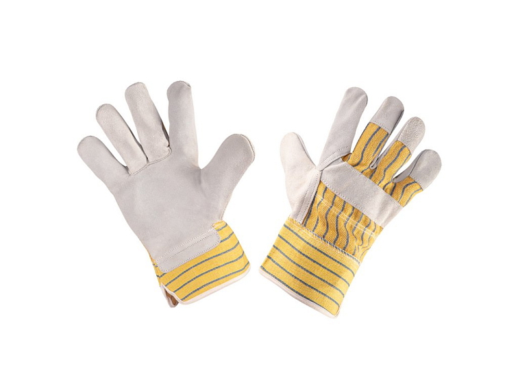 Výsadba rybízu - načasování a péče o keře