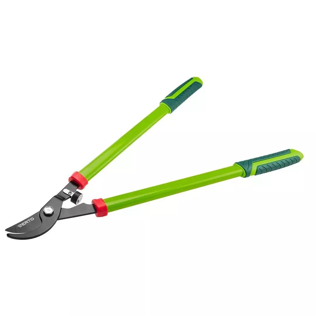 Říjen na zahradě – jak připravit zahradu na nadcházející zimu?