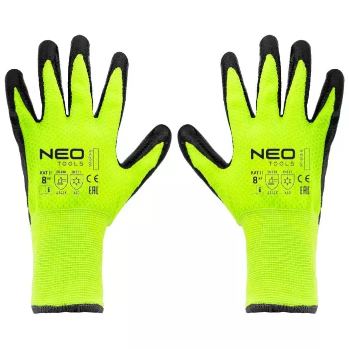 Fenykl a fenykl mexický – jak je pěstovat na zahradě?