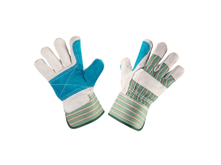 Výsadba ostružin - termín, pěstování, péče a požadavky