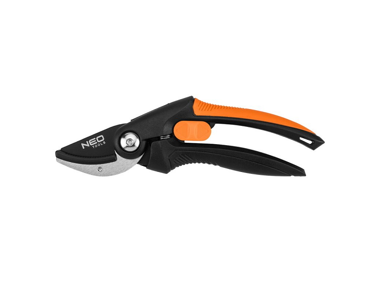 Jaký je nejlepší způsob, jak pěstovat jiřiny?