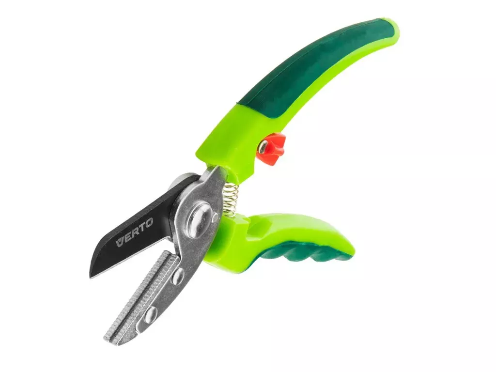 Jak chránit růže na zimu?