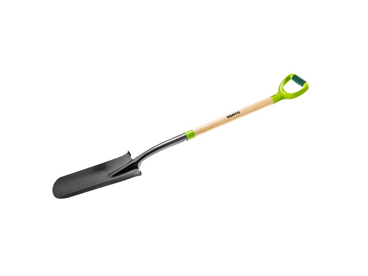 Levandule na zahradě - výsadba, pěstování, péče