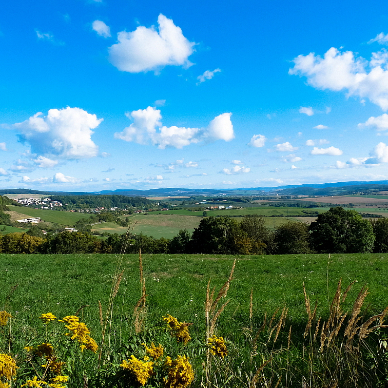 disiCLEAN ANTIBACTERIAL GEL