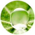 EM`AGE SERUM luxusní protivráskové sérum pro omlazení pleti