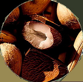 INFUSION CREAM bezoplachová výživa vlasů