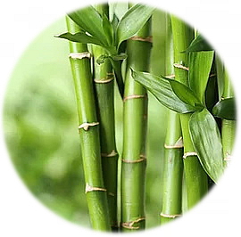 STYLIX texturizační sprej na vlasy