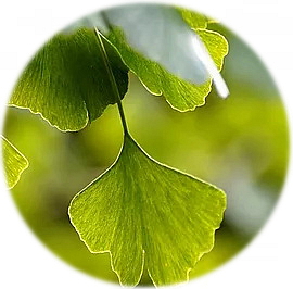 ICE GEL extra silný rychleschnoucí modelovací gel na vlasy