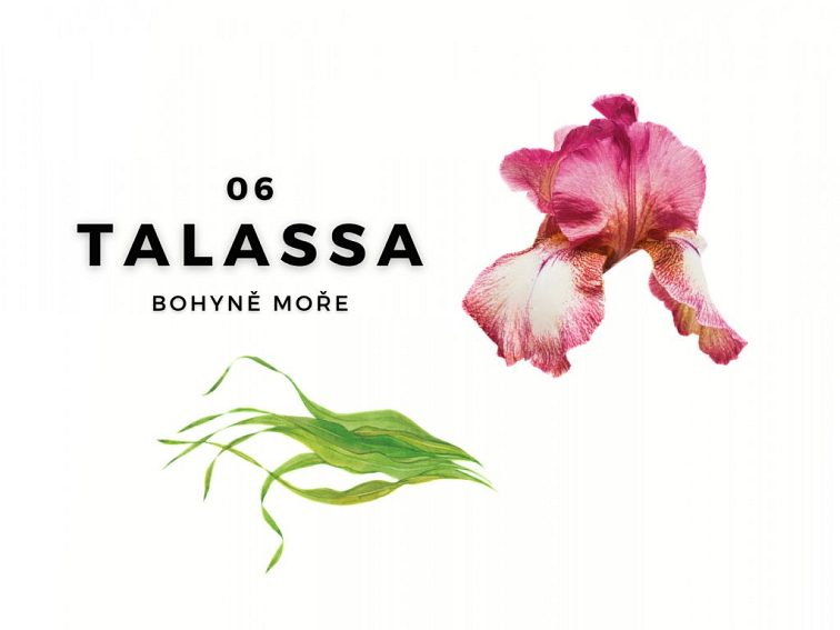 TALASSA Aroma difuzer