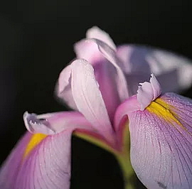 MARTY PROFUMO parfém