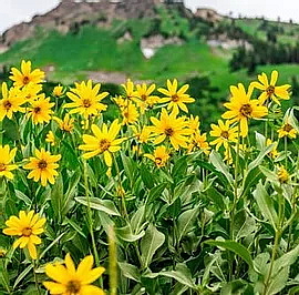 CLOUD MOUSSE čistící pěna pro mastnou a citlivou pleť