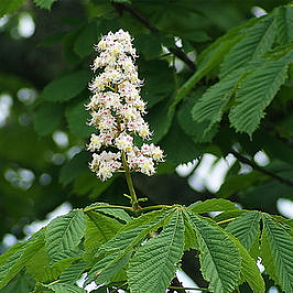 RE DUCTION krém bahno na celulitidu