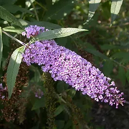 CALMING SPRAY zklidňující sprej na citlivou pokožku