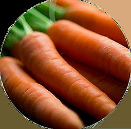 KAUAI gel na vlasy, který chrání před solí a chlórem