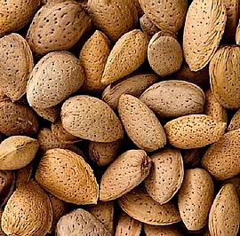 IN AMBER WASH Šampon pro snadné rozčesávání a lesk vlasů