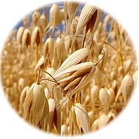 STYLIX texturizační sprej na vlasy