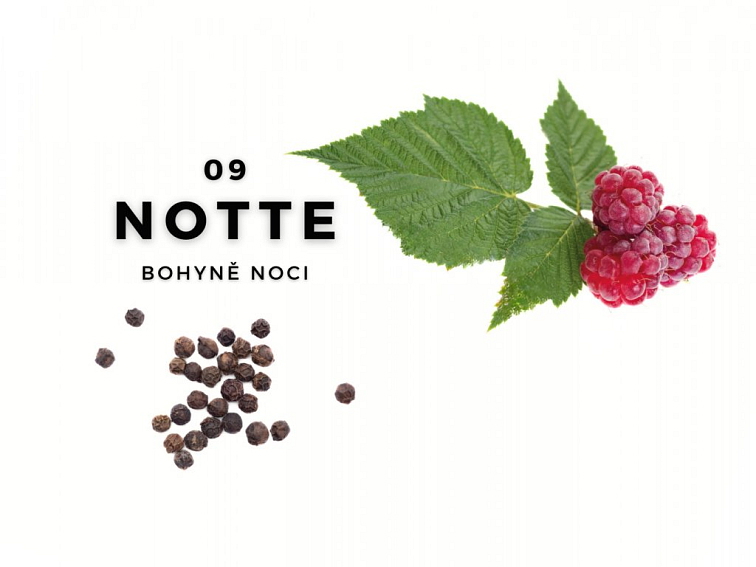 NOTTE Aroma difuzer