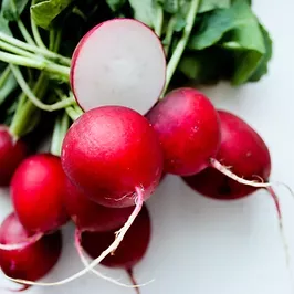 EVERYDAY BODY LOTION přírodní hydratační krém na tělo