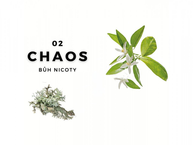 CHAOS Bytová vůně