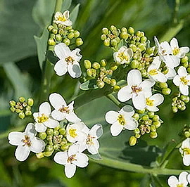 HAIR MUD modelovací pasta na vlasy se směsí vosků a jílu
