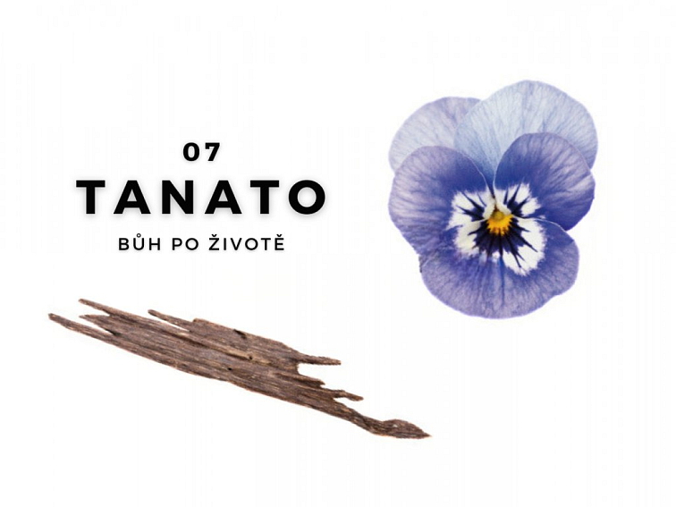 TANATO Bytová vůně