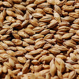 SUN TAN MINERAL 30 SPF minerální opalovací krém na tvář a tělo