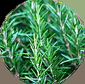 EVERYDAY HAND SERUM obnovující sérum na ruce