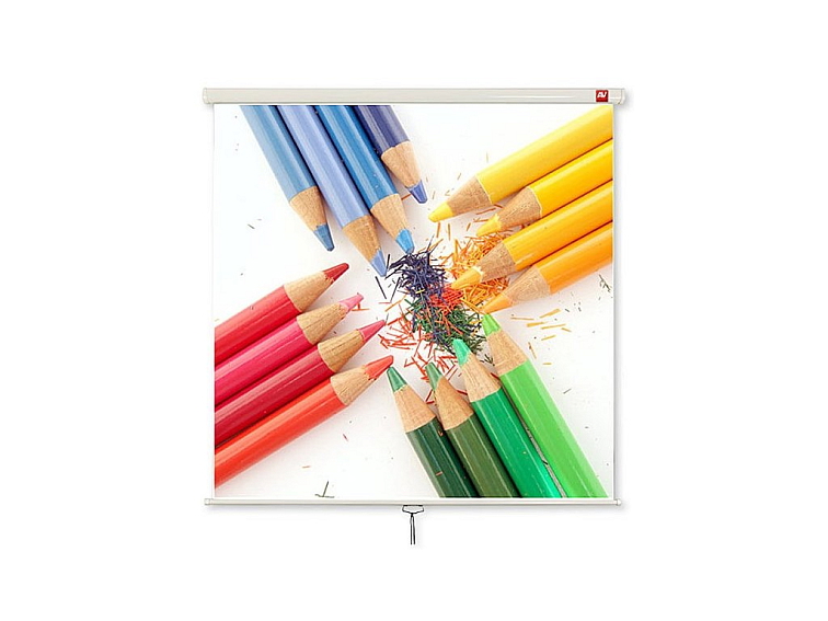 Plátno Avtek Wall Standard