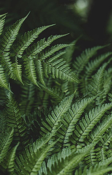 Luxus každodenní péče