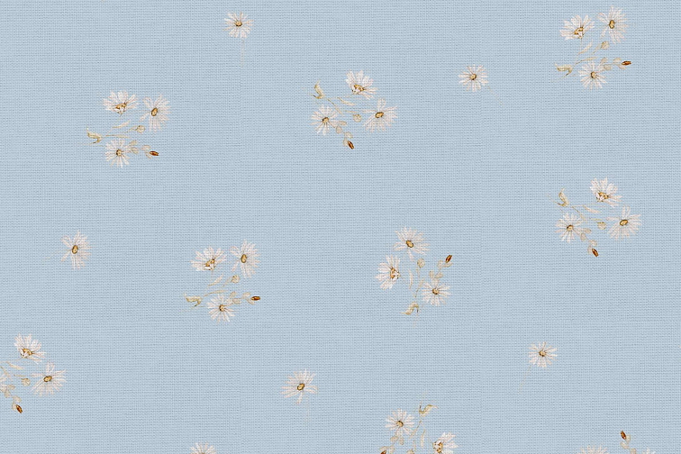 Bavlněné povlečení Sedmikrásky - modré