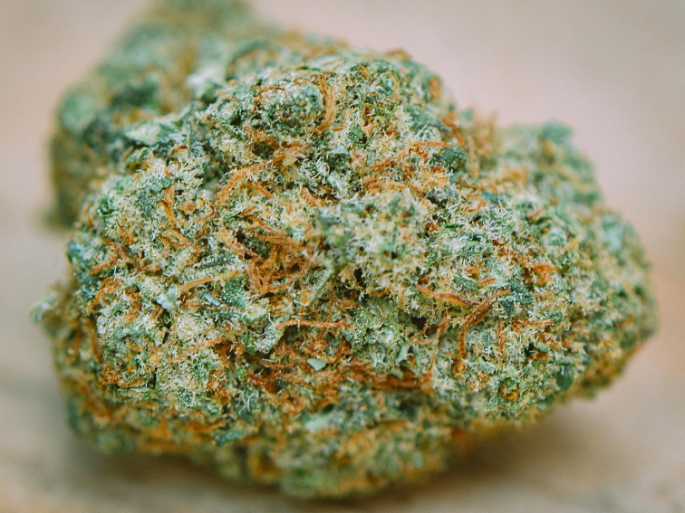 Detail prémiového CBD květu Banana Runtz – český indoor, sytě zelené konopí s trichomy, vůně banánu a citrusů, technické konopí do 1 % THC.