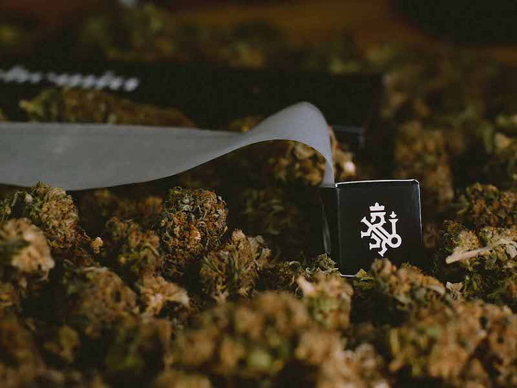 BNG Papers "Nekonečné"