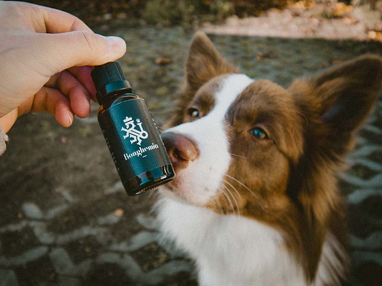 2,5% CBD Kapky "Pro Zvířata"