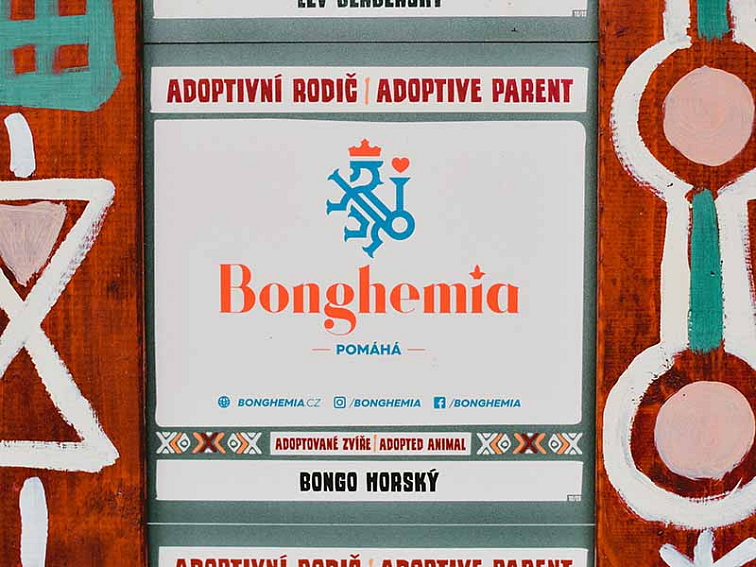 Bonghemia a safari park dvůr králové podporují bongo horský