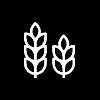 Bonghemia: Cannabis Pale Ale 4x0,75l