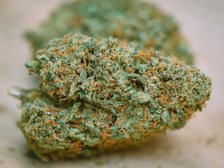 CBD květu Candu Kush – technické konopí s vysokým obsahem CBD, ručně stříhaná palička s fialovo-zelenými tóny, bohatá na trichomy, terpeny a výraznou vůni. Kvalitní CBD konopí z EU produkce, vhodné pro aromaterapii a sběratelské účely.