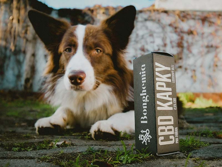 2,5% CBD Kapky "Pro Zvířata"